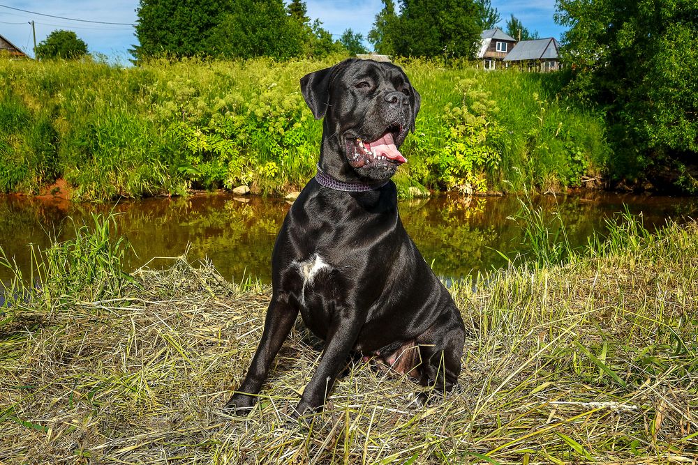 Photograph by Морган Генри Ричард