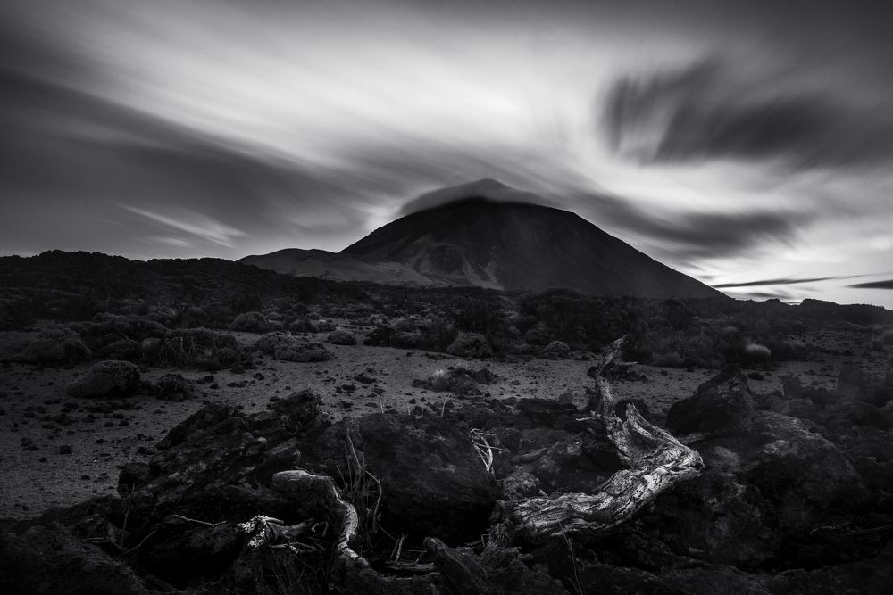 Photograph by Marisa Antoci