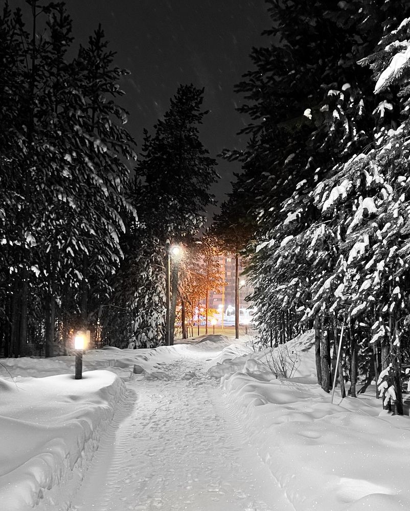 Photograph by Шестакова Елена