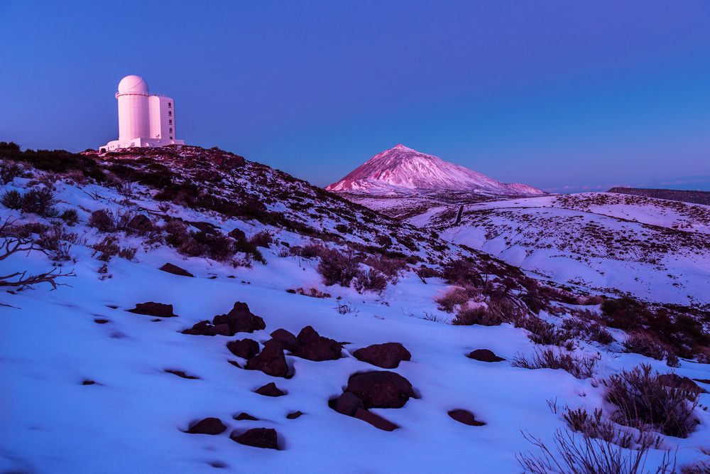 Photograph by Marisa Antoci