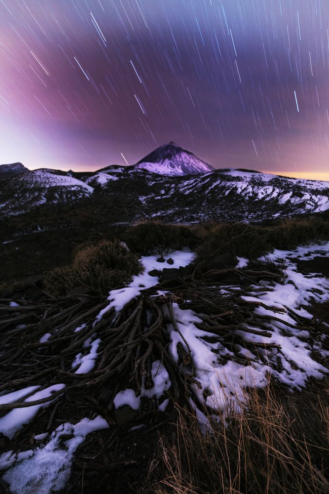 Photograph by Marisa Antoci