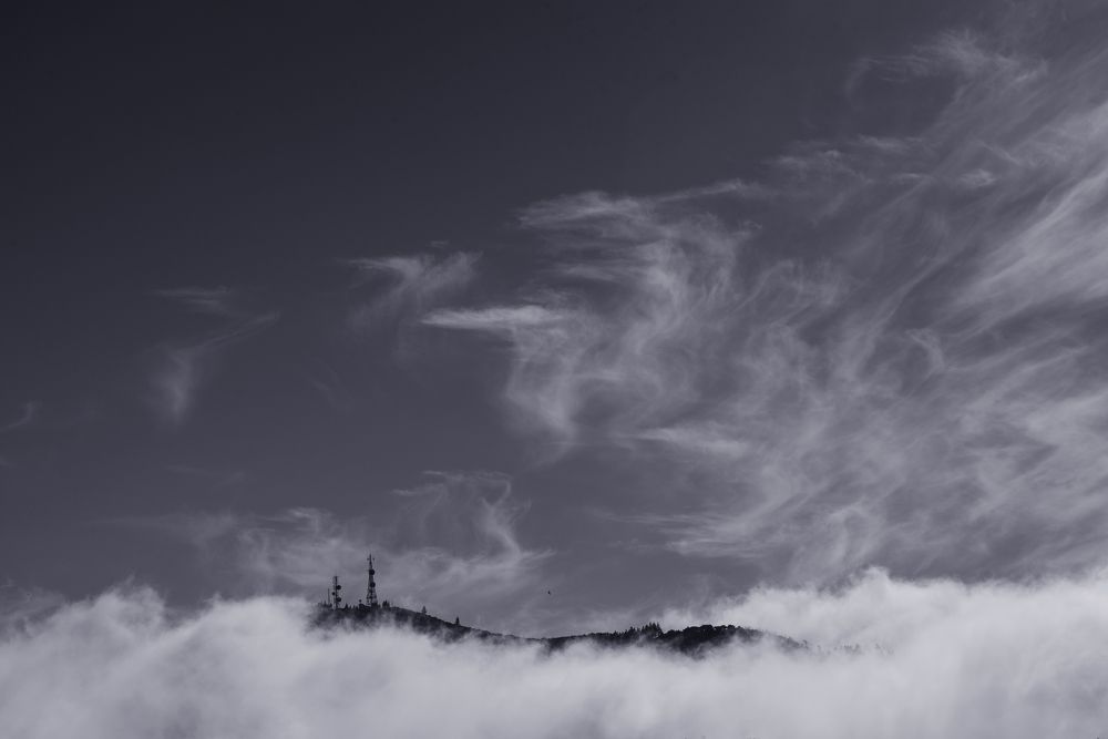 Photograph by Marisa Antoci