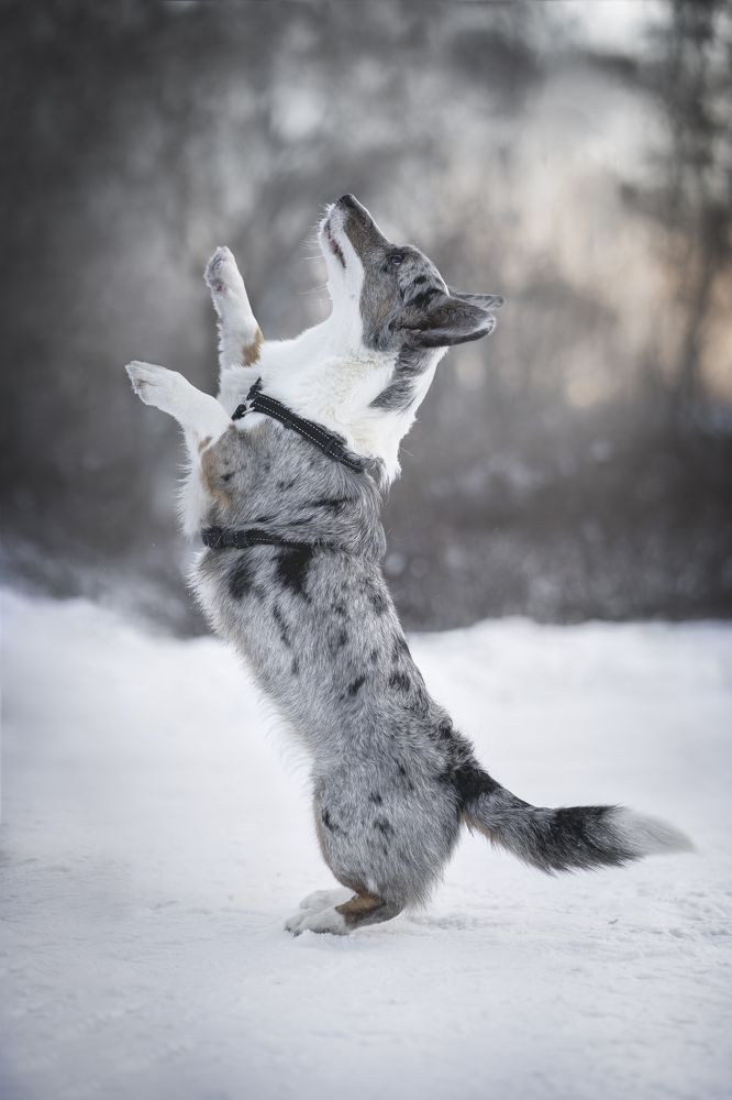 Photograph by Александра Пугачёва