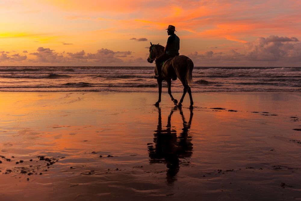 Photograph by Marisa Antoci