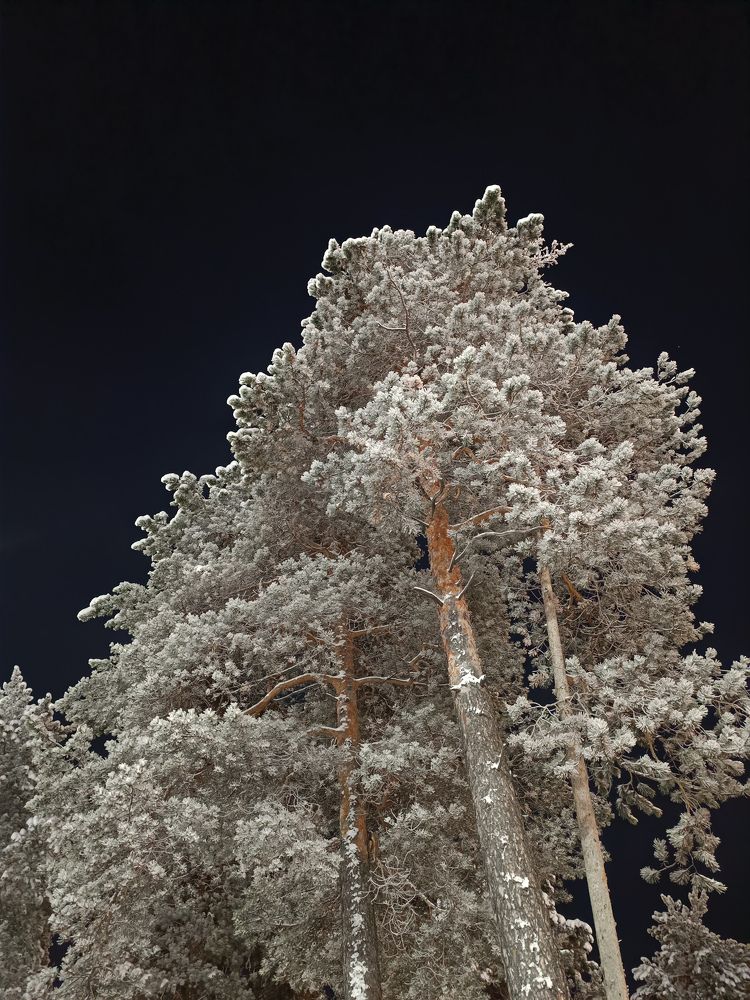 Photograph by Надежда Юшкова