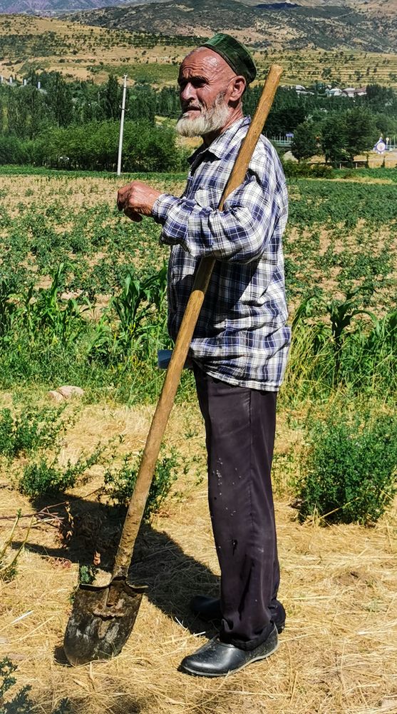 Farmer in the field