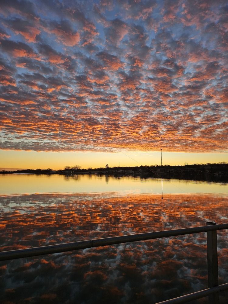 Photograph by Brenda Johndon