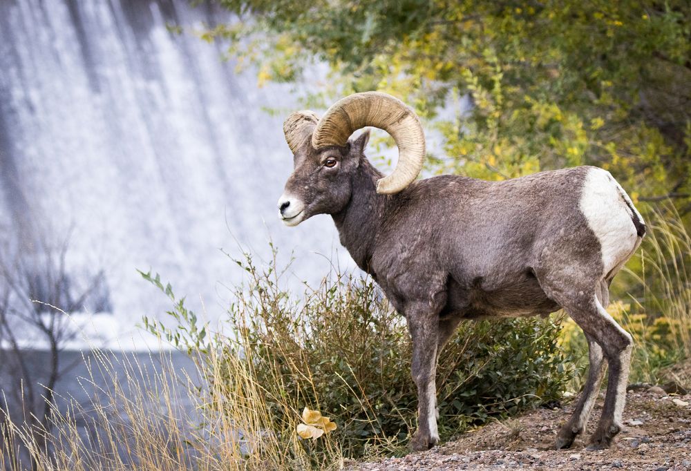 Photograph by Valentina Gatewood