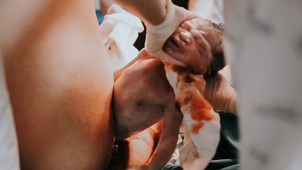 Фотография автора Liliane Carnevalli