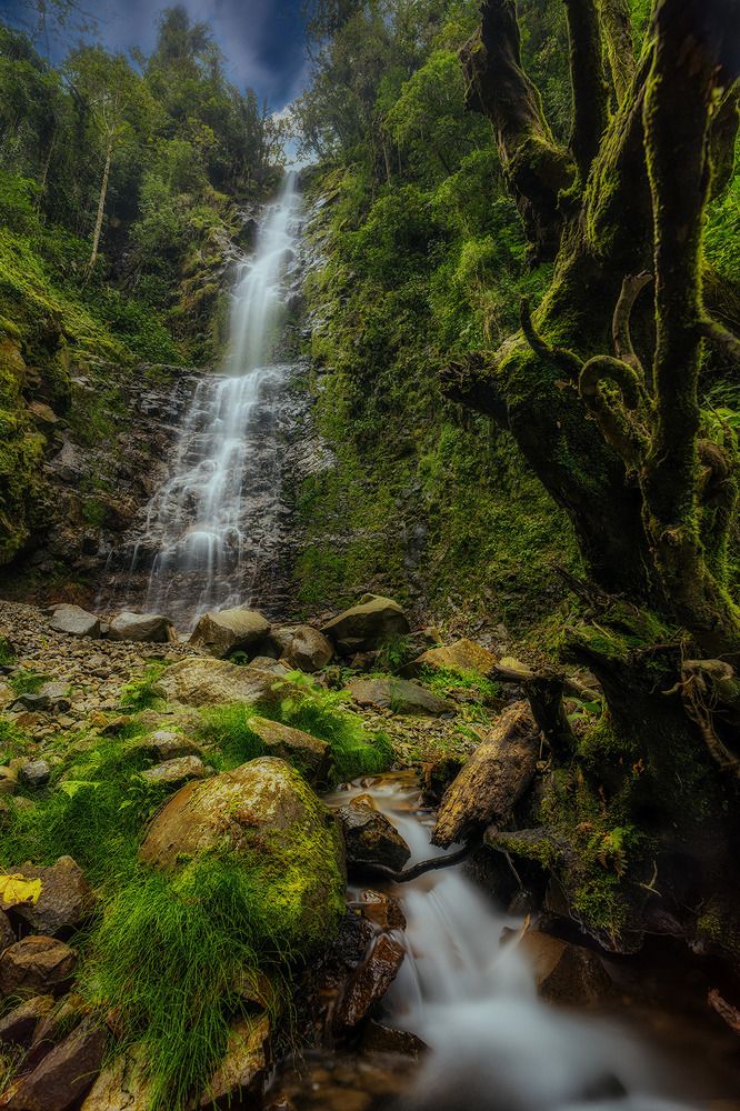 Photograph by Jose Vega