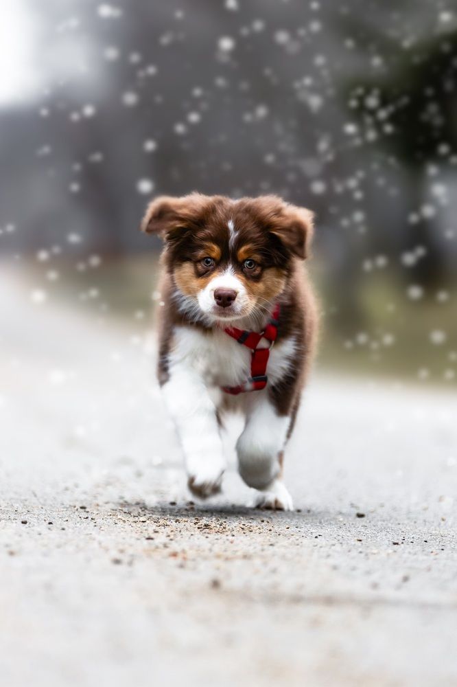 Photograph by Aaron Kircheis