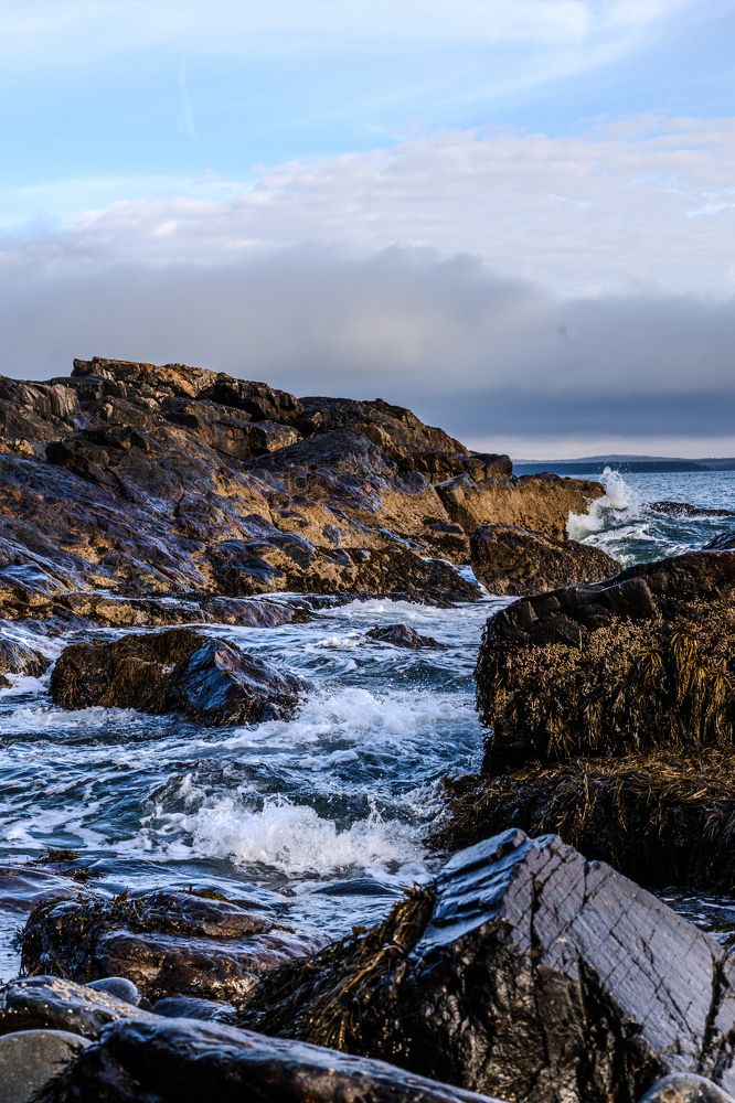 Photograph by Aaron Kircheis