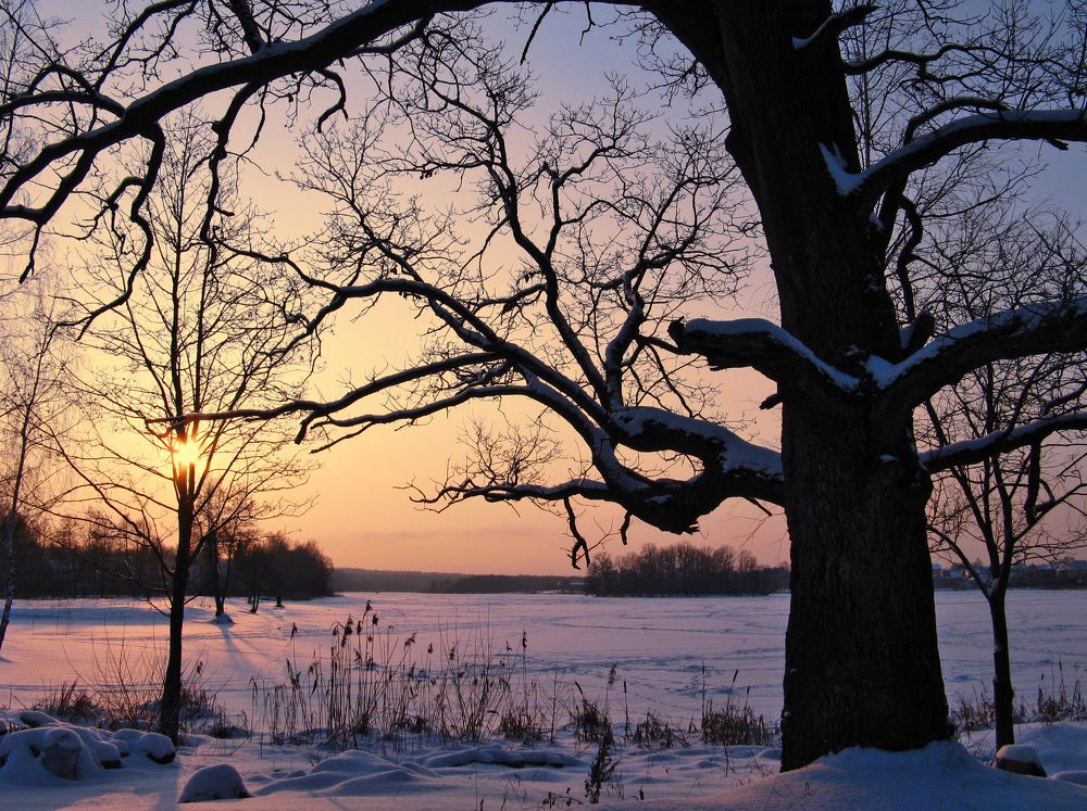 Photograph by Андрей Осмоловский