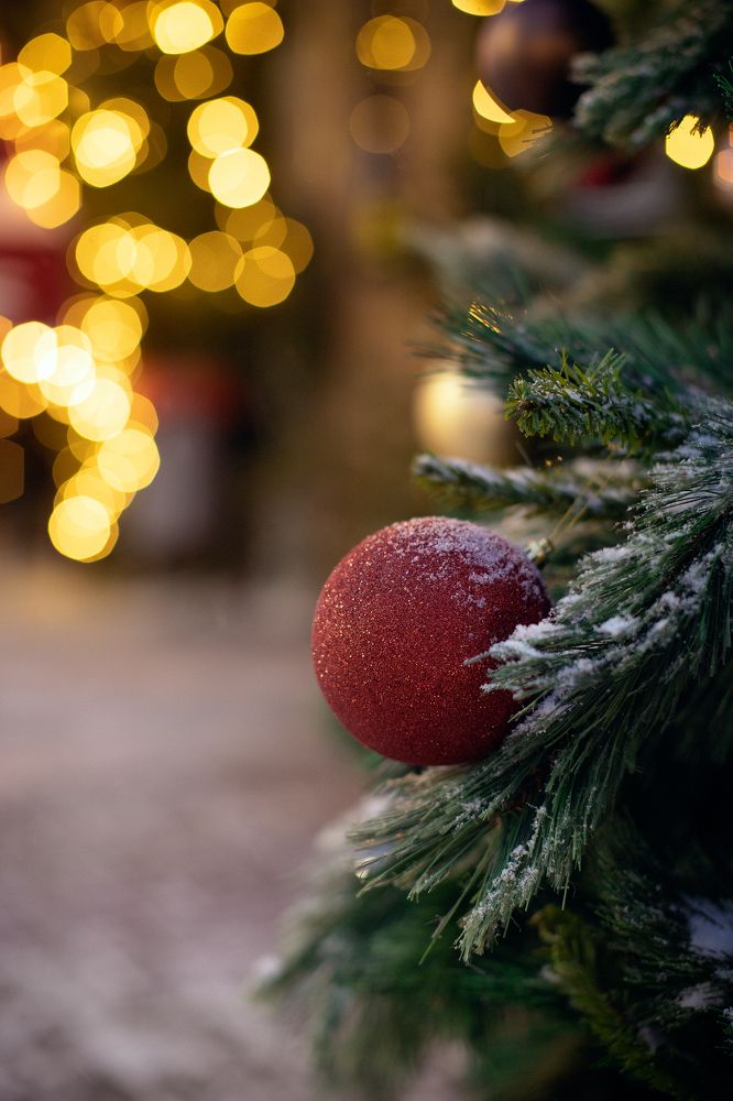 Photograph by Людмила Кузьмина