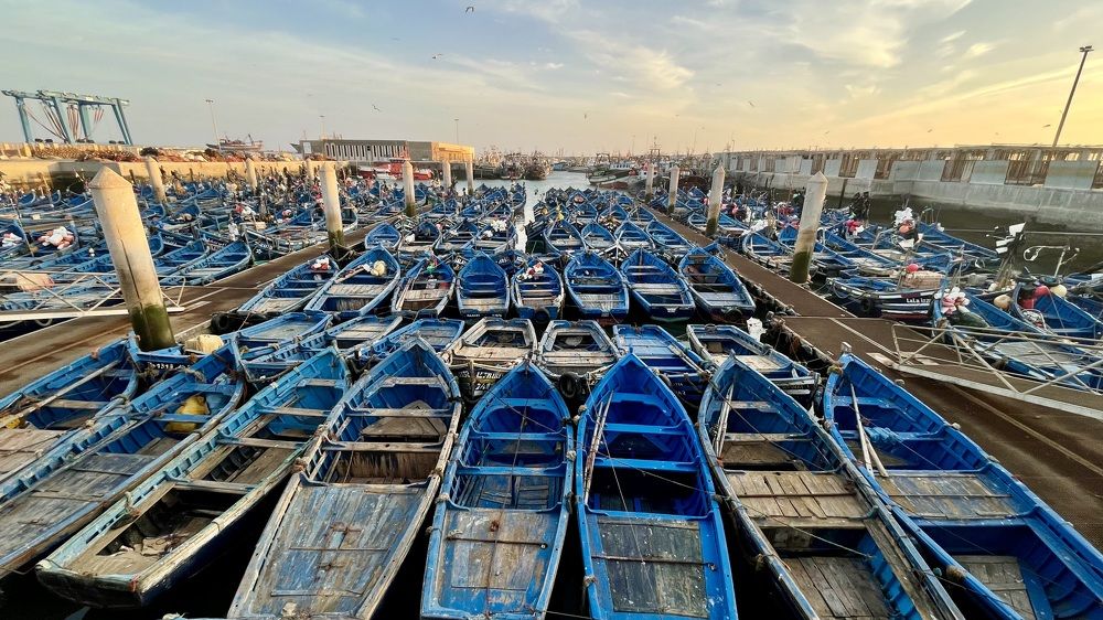 Рыбаки на отдыхе