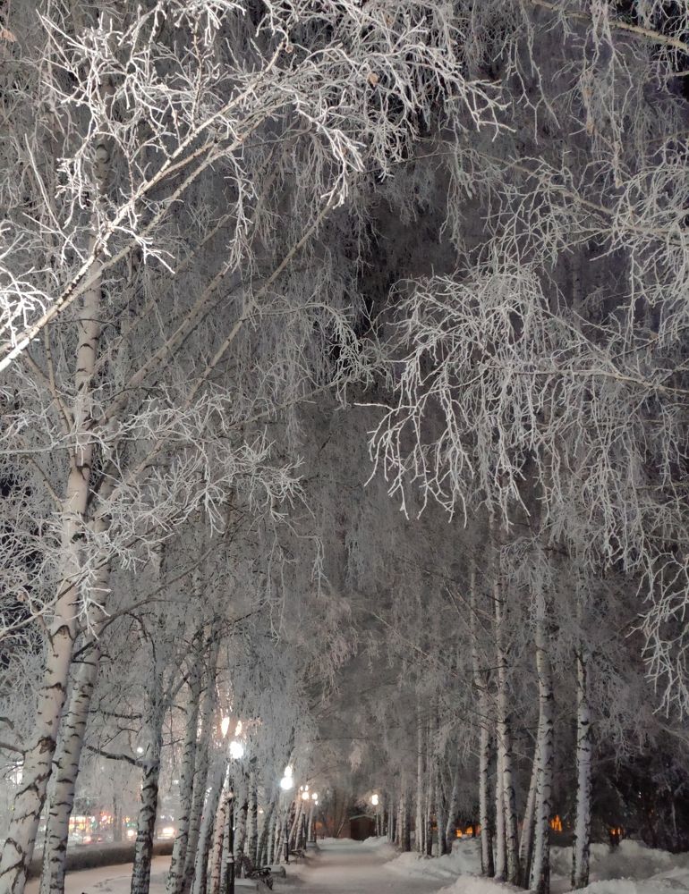 Photograph by Татьяна Гулакова