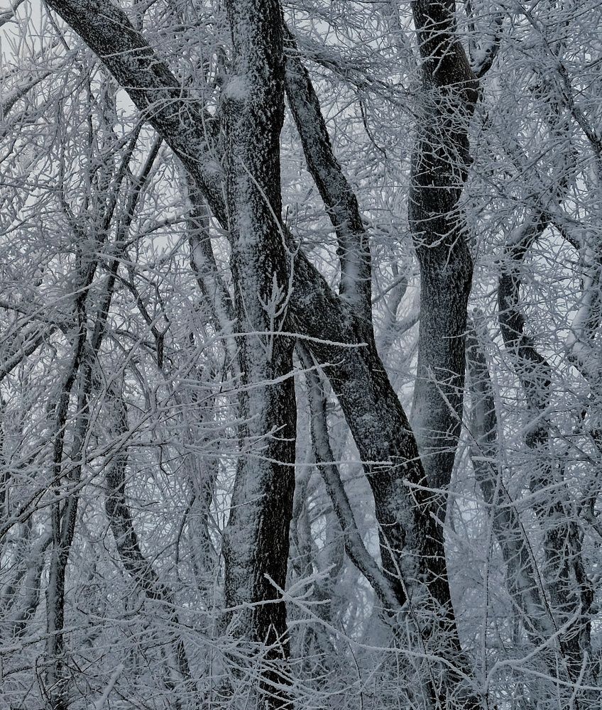 Photograph by Сергей Кошин