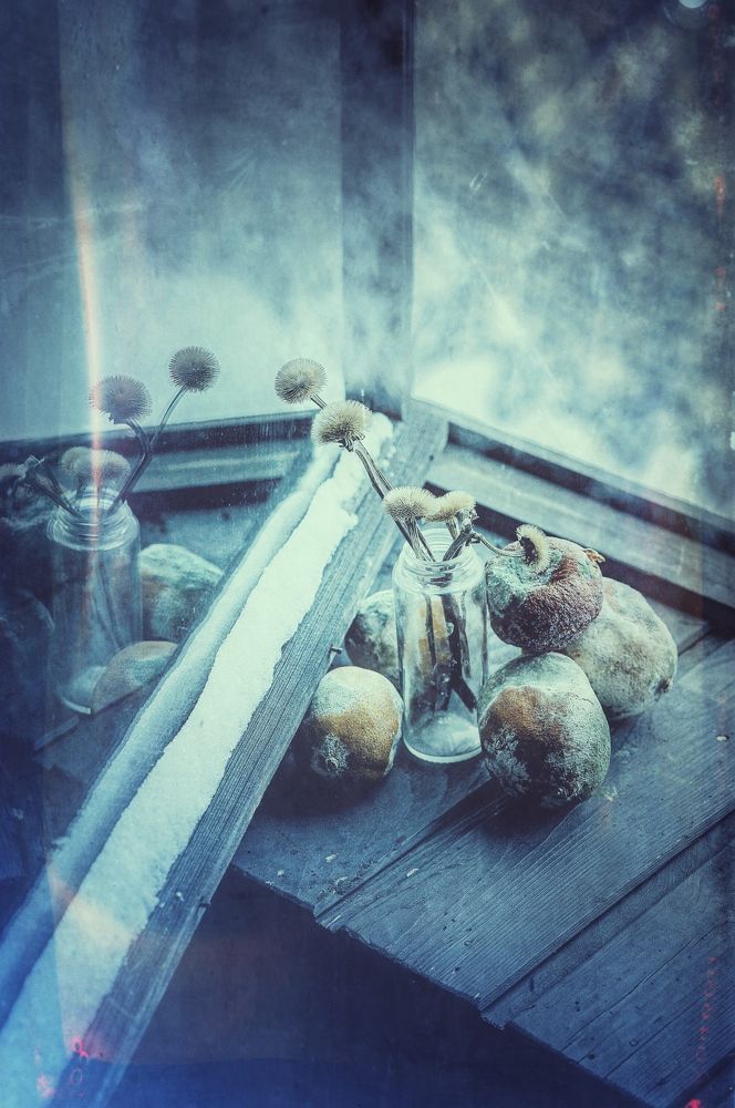 Photograph by Юлия Честнова