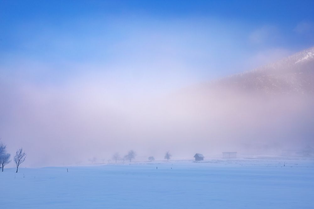 Фотография автора Анна Листишенко