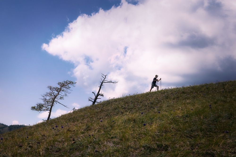 Идут упрямо, не спеша...