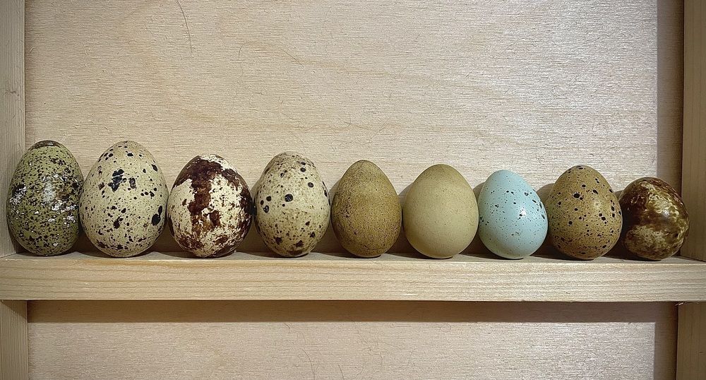 Photograph by Антонина Кирбатова