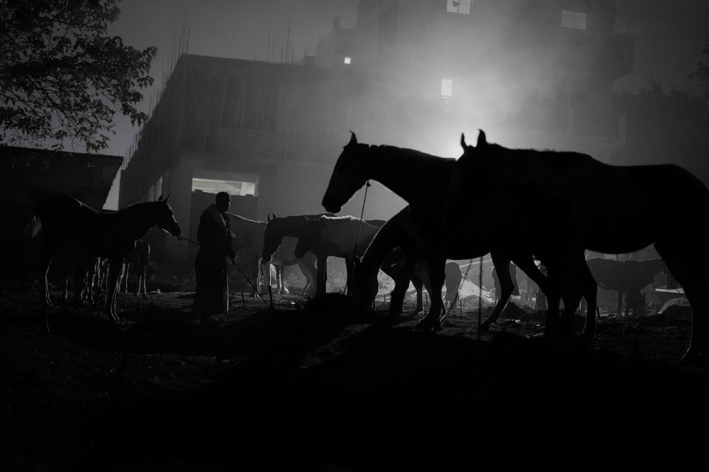 Фотография автора Mohammad Asif