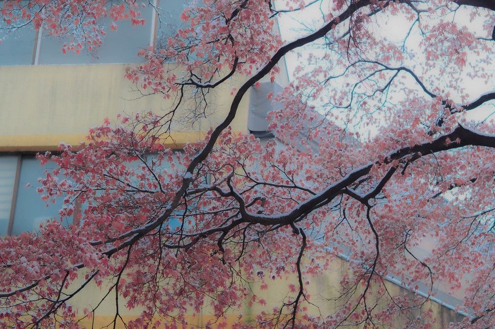 Фотография автора Надежда Кулявова