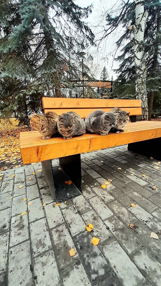 Photograph by Инна Петрова