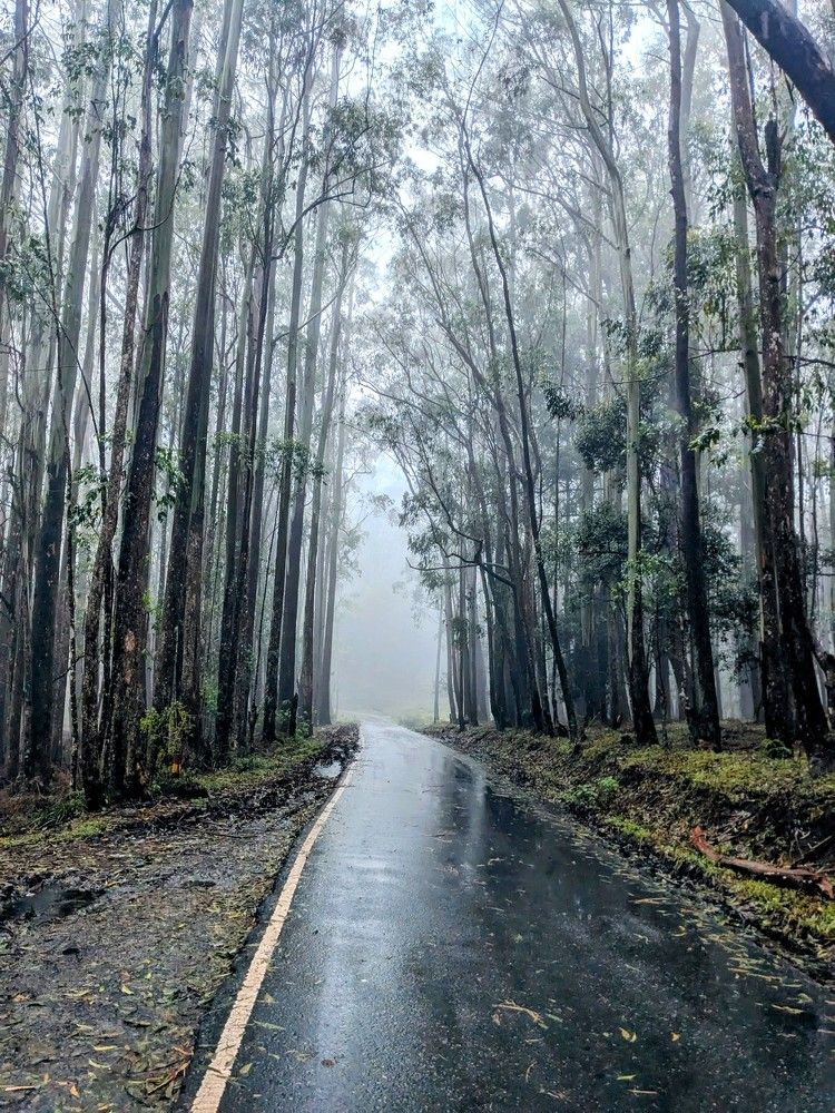 Photograph by Kaushalya Rakshitha Bandara Mullegama