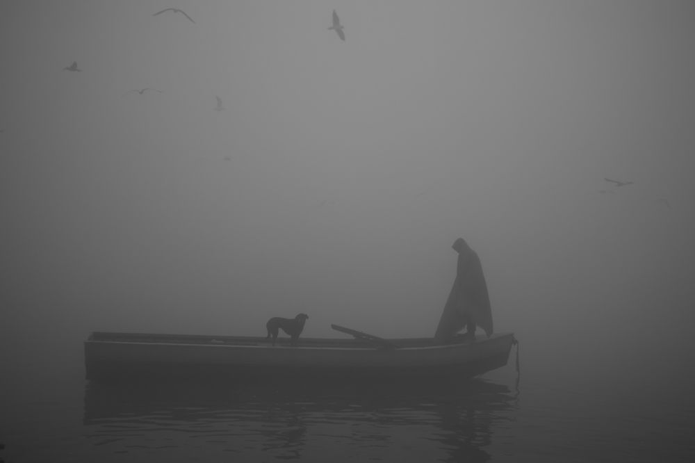 Photograph by sachin gaurav