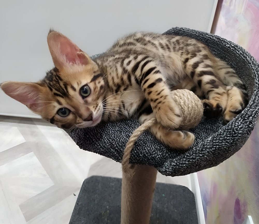 Photograph by Елена Сухорученкова