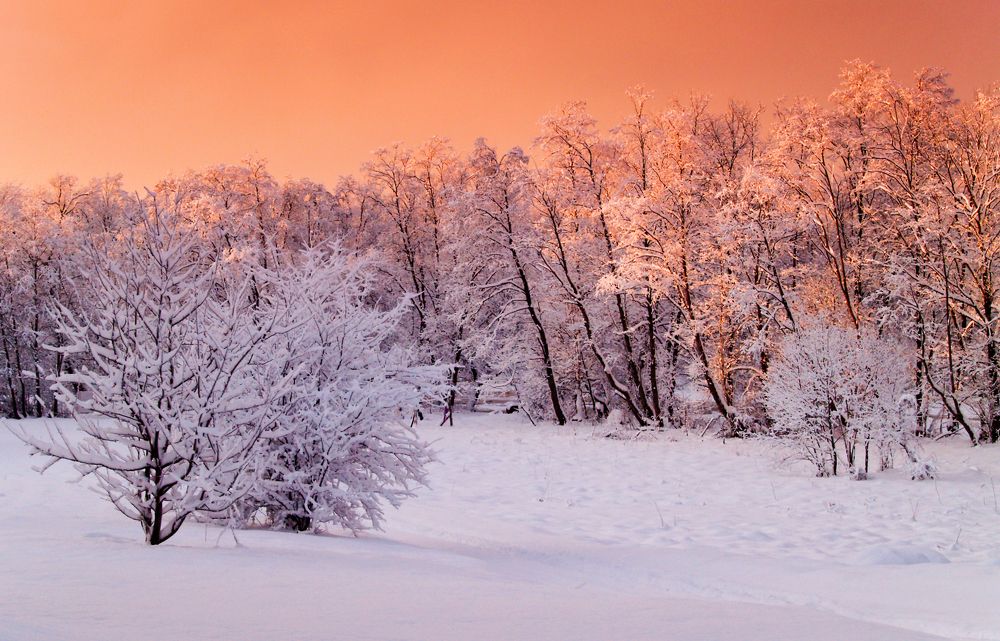 Photograph by Agita Leimane