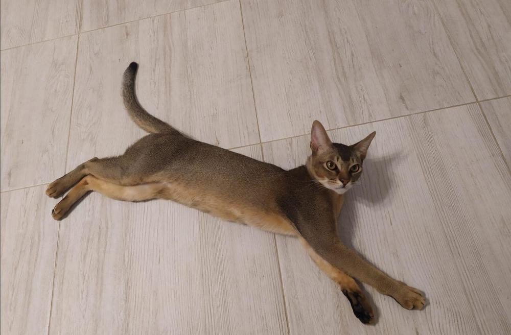 Photograph by Елена Сухорученкова