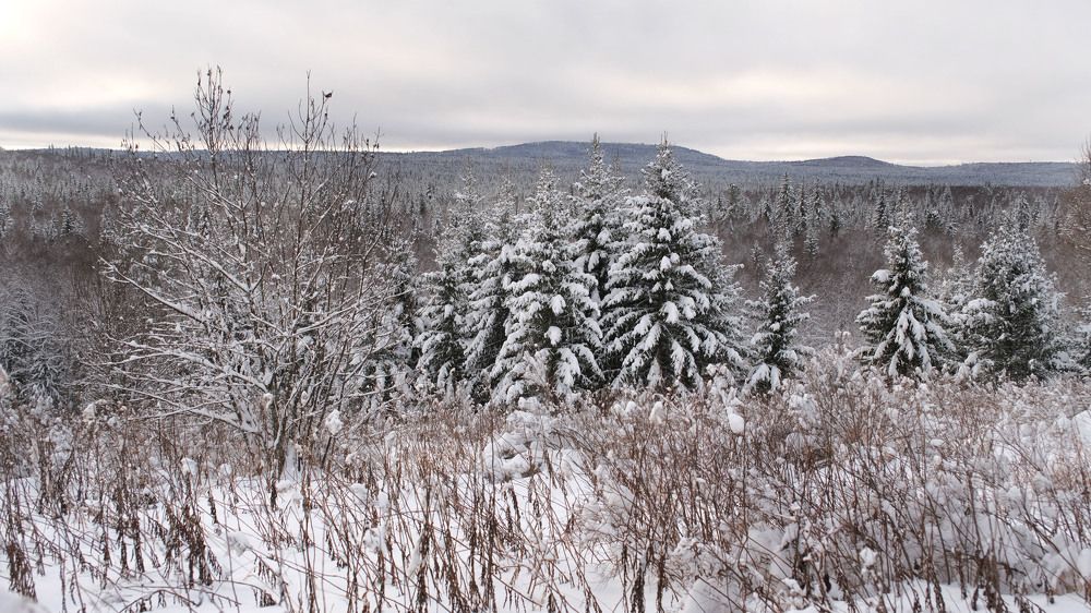 Photograph by Оксана Батракова