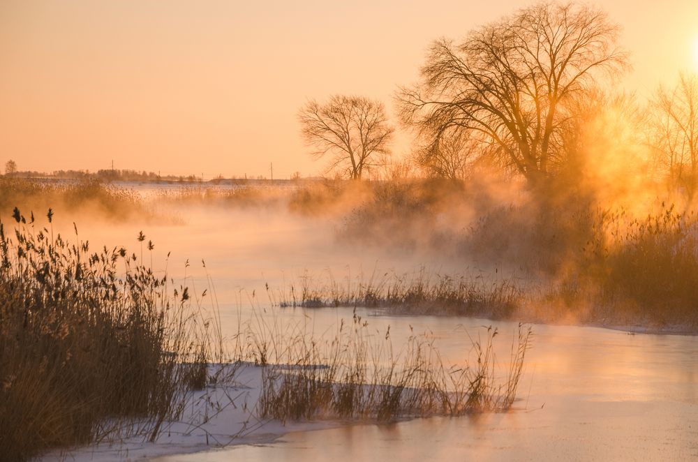 Photograph by Илья Толстоноженко