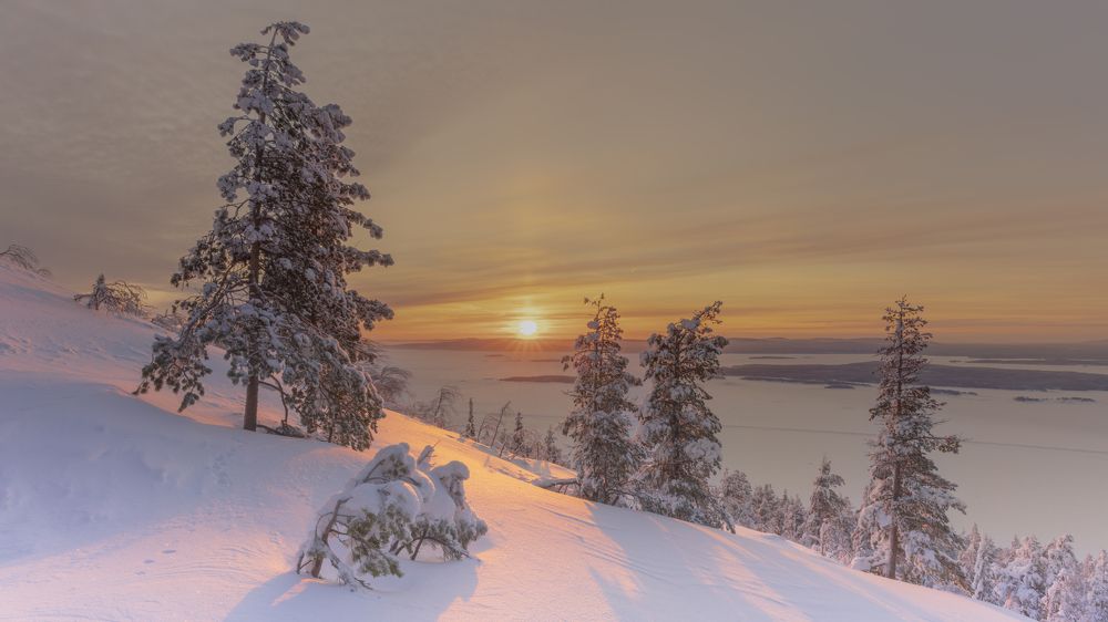 Photograph by Илья Еремеев