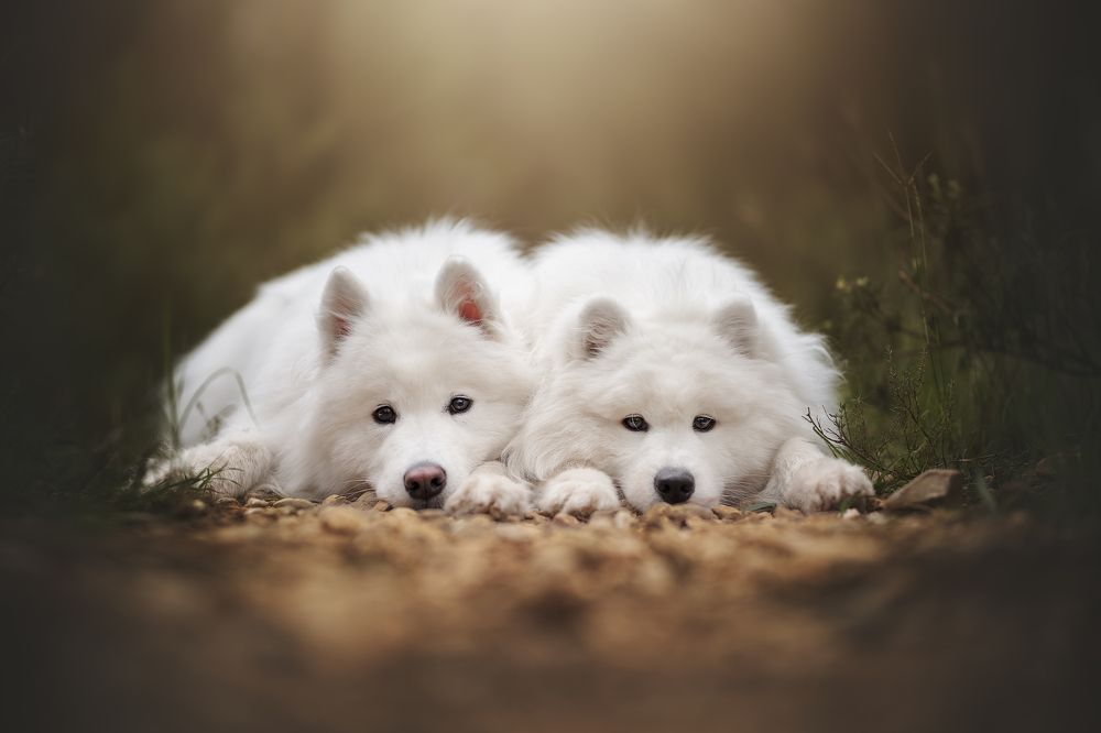 Фотография автора Rut Casanellas