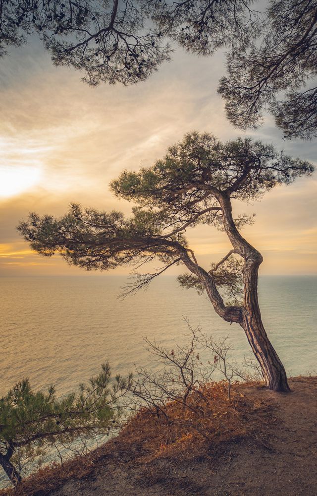 Фотография автора Константин Яковлев