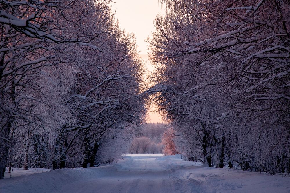 Фотография автора Станислава Гордеева