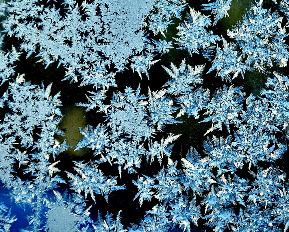 Photograph by НИНА АВЕРЬЯНОВА