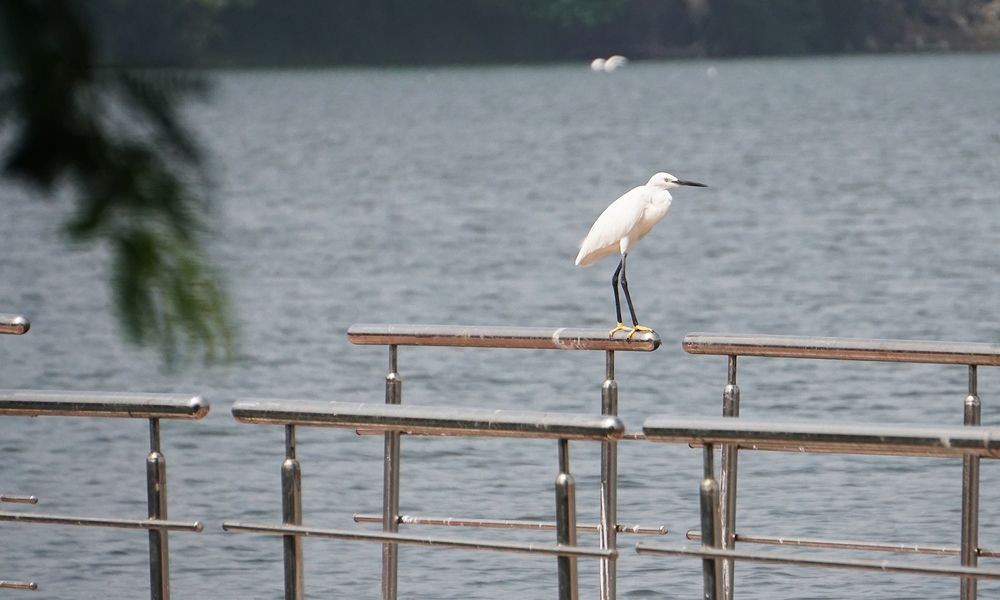 Photograph by Prabhu Viswanathan