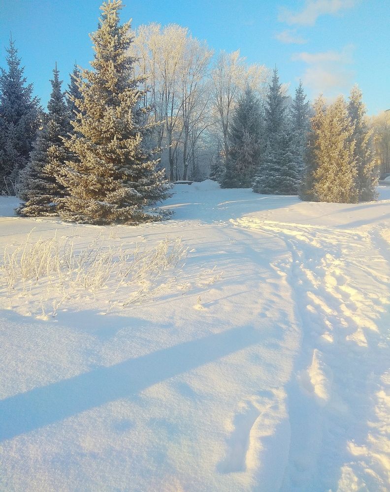 Photograph by Татьяна Кунц