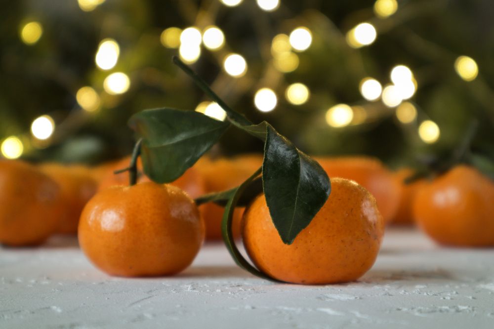 Photograph by Анна Чичилова