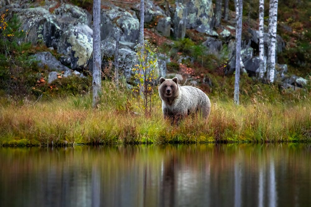 Photograph by Vita Potomova