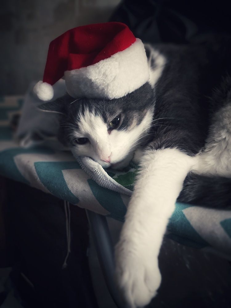 Photograph by Светлана Захарова