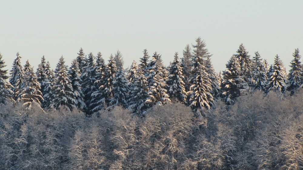 Photograph by Ильяс Альмухаметов