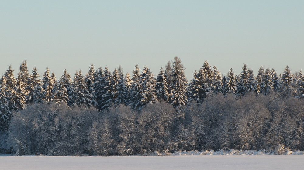 Photograph by Ильяс Альмухаметов