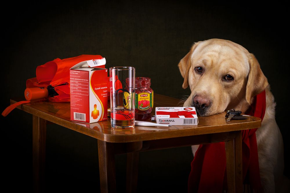 Photograph by Владимир Лиепин