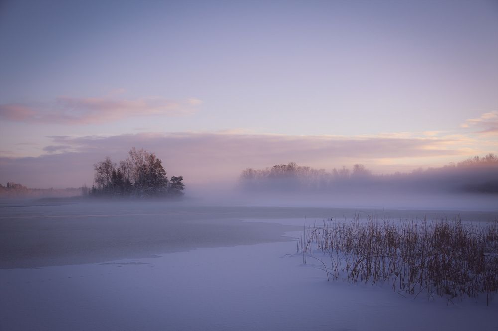 Photograph by Liudmila Drake