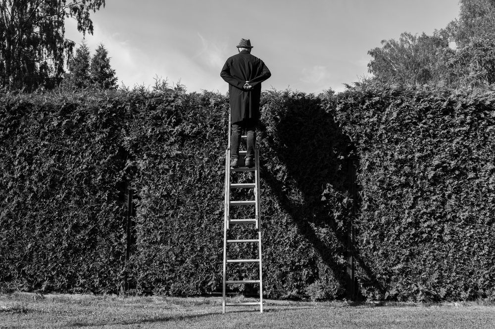 Photograph by Владимир Лиепин